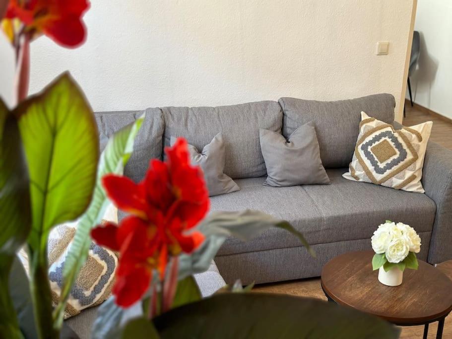 Modern Eingerichtete Wohnung Im Stadtzentrum Zittau Kostenloser Parkplatz Dış mekan fotoğraf